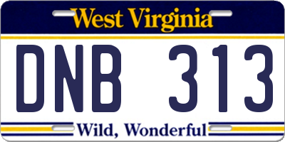 WV license plate DNB313