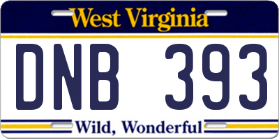 WV license plate DNB393