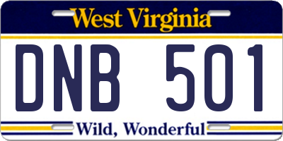 WV license plate DNB501