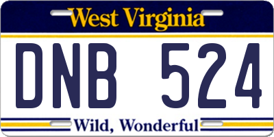 WV license plate DNB524