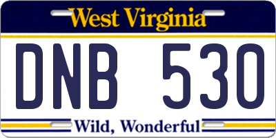 WV license plate DNB530