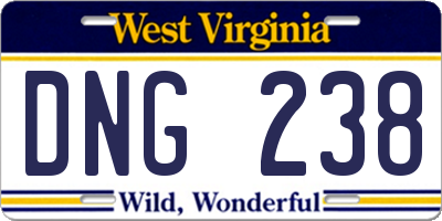 WV license plate DNG238