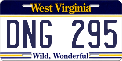 WV license plate DNG295
