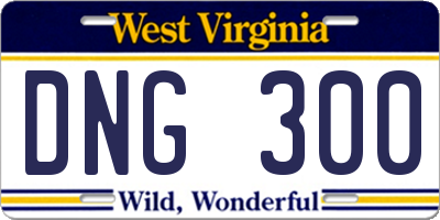 WV license plate DNG300