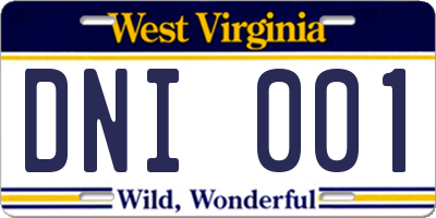 WV license plate DNI001