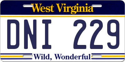 WV license plate DNI229