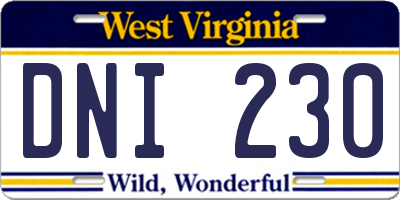 WV license plate DNI230
