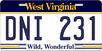 WV license plate DNI231