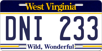 WV license plate DNI233