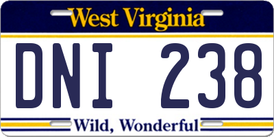 WV license plate DNI238