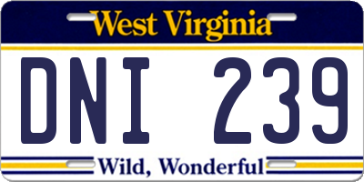WV license plate DNI239