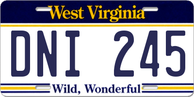 WV license plate DNI245