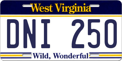 WV license plate DNI250