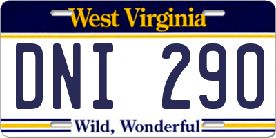 WV license plate DNI290