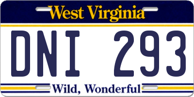 WV license plate DNI293