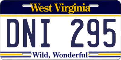 WV license plate DNI295