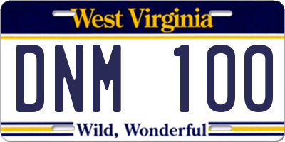 WV license plate DNM100
