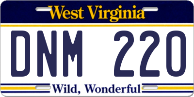 WV license plate DNM220
