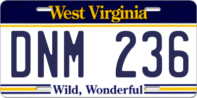 WV license plate DNM236