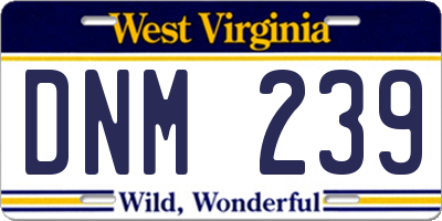 WV license plate DNM239