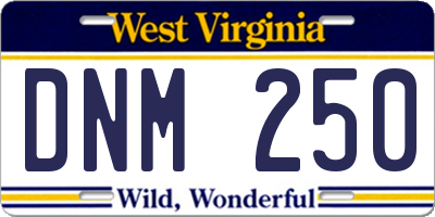 WV license plate DNM250