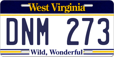 WV license plate DNM273