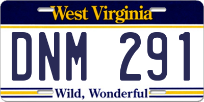 WV license plate DNM291