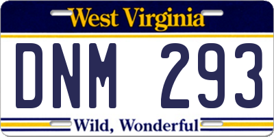 WV license plate DNM293