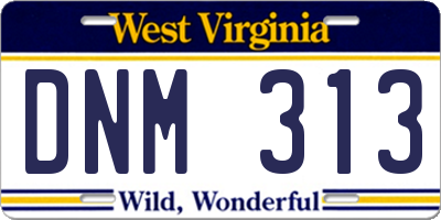 WV license plate DNM313