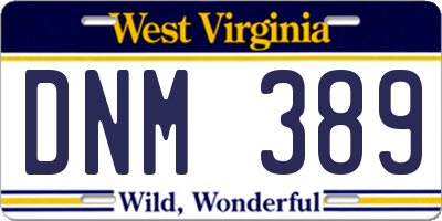 WV license plate DNM389