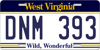 WV license plate DNM393