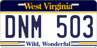 WV license plate DNM503