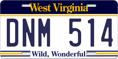 WV license plate DNM514