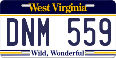 WV license plate DNM559