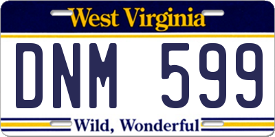 WV license plate DNM599