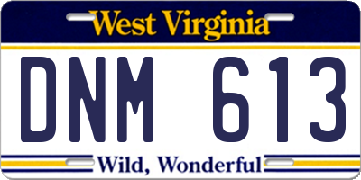 WV license plate DNM613