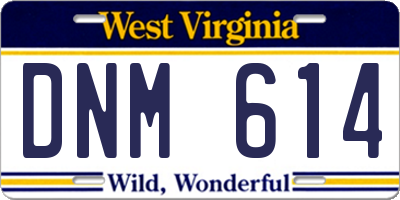 WV license plate DNM614