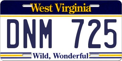 WV license plate DNM725