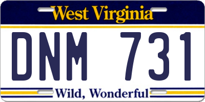 WV license plate DNM731