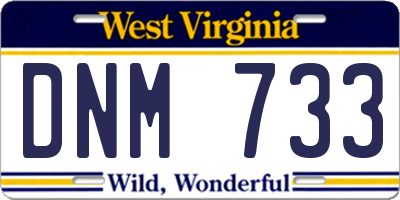 WV license plate DNM733