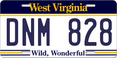 WV license plate DNM828