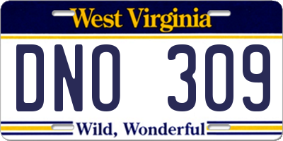 WV license plate DNO309