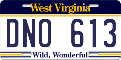 WV license plate DNO613