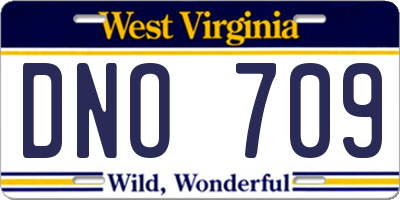 WV license plate DNO709