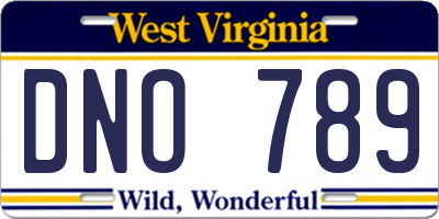 WV license plate DNO789