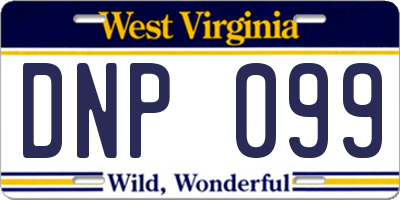WV license plate DNP099