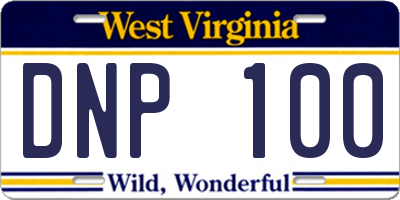 WV license plate DNP100