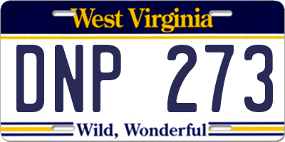 WV license plate DNP273