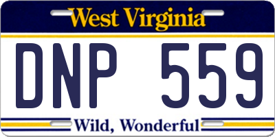 WV license plate DNP559