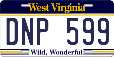 WV license plate DNP599